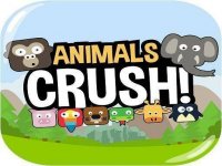 Animal Match Puzzle