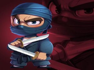 Ninja Jump Master Online Game