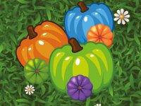 Pumpkin Match Puzzle