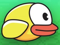 Bird Flight Clicker