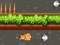 Cat Labyrinth Escape Puzzle