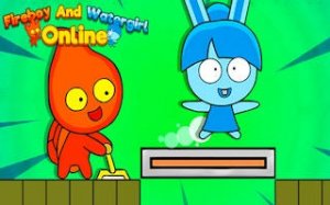 Fire and Water Temple Puzzles
