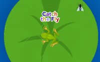 Catch the Fly Classic Arcade Game Online