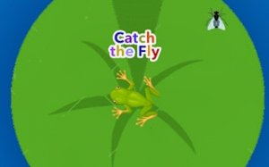 Fly Catch Arcade Game