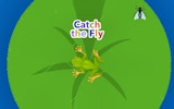 Fly Catch Arcade Game