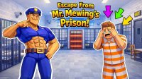 The Great Escape: Cat Chase Challenge